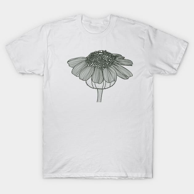 Sunflower Black and White Line Art T-Shirt by WalkSimplyArt